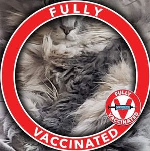 Meet your Posher, Faye